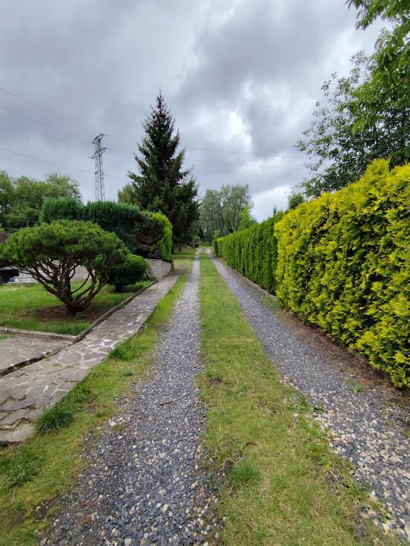 Apartman Terezka Jílové Bagian luar foto